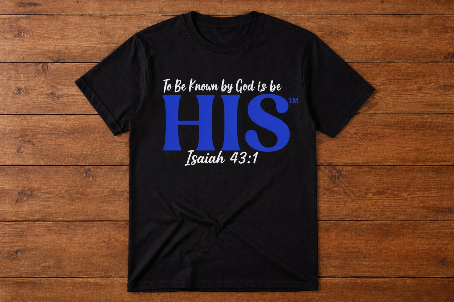 HIS™ Branded T-Shirts for Men